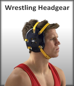 Best Wrestling Headgear